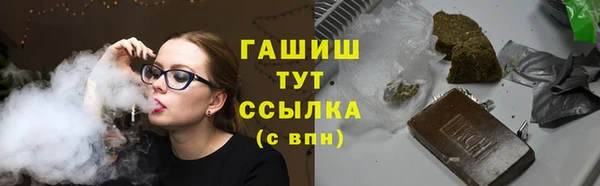 гашик Елизово